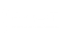 Blueit Capacitación Profesional